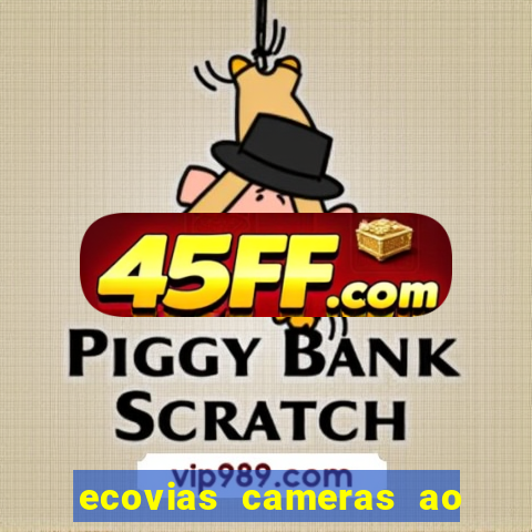 ecovias cameras ao vivo santos